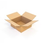 Grand carton 45 x 45 x 20 cm - Simple cannelure