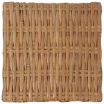 vidaXL Table basse 47x47x28 cm Rotin naturel