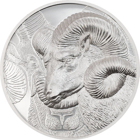 Pièce de monnaie en Argent 500 Togrog g 31.1 (1 oz) Millésime 2022 Wild Mongolia MAGNIFICENT ARGALI