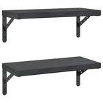 vidaXL Étagères murales 2 Pièces 50x23 5 cm noir acier inoxydable