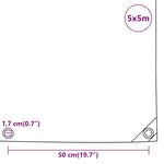 vidaXL Bâche blanc 5x5 m 650 g/m²