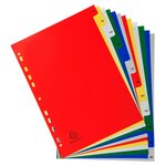 Intercalaires Imprimés Mensuels Pp Couleurs Janv-décembre - A4 - Couleurs Assorties - X 20 - Exacompta