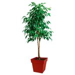 Pot de fleur carré Toscane - 39 x 39 x Hauteur 39 cm - 38 L - Rouge rubis