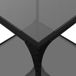 vidaXL Tables basses avec dessus en verre noir 2 Pièces 50x50x40 cm acier
