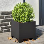 vidaXL Jardinières 2 Pièces noir 30x30x30 cm acier