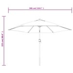 vidaXL Parasol d'extérieur avec LED et mât en acier 300 cm Anthracite