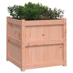 vidaXL Jardinières 2 Pièces bois massif douglas