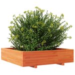 vidaXL Jardinière cire marron 100x100x26 5 cm bois de pin massif