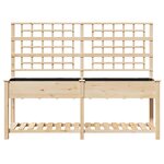 Jardinière avec treillis et étagère vidaXL 203x53x152 cm en bois massif de sapin