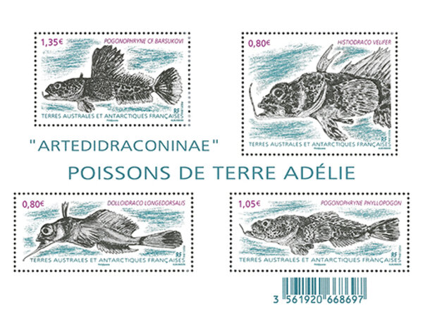 TAAF - Bloc Poissons de Terre Adélie