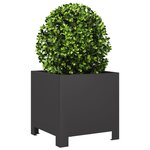 vidaXL Jardinières 2 Pièces noir 30x30x30 cm acier