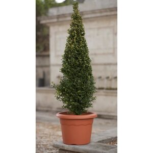 PLASTIKEN Pot a fleurs - Ø 40 cm rond - Terracotta