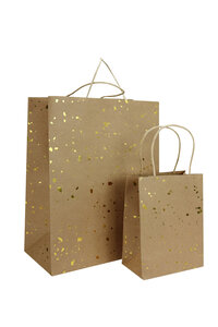 Sac cadeau kraft et doré 2 pièces