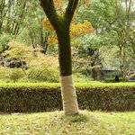 vidaXL Rouleau de jute 1x10 m 100   jute 200 g/m²