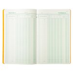 Piqûre 32x19 5cm Journal De Caisse Ou Banque 5 Débits - 5 Crédits 31 Lignes 80 Pages - Couleurs Assorties - Exacompta