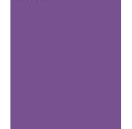 Stock Bureau - CLAIREFONTAINE Rouleau papier kraft 3x0.70m violet