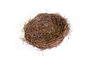 Nid d'oiseau en paille et brindille 16cm