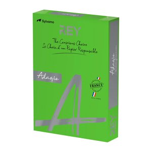 Ramette papier couleur rey adagio couleurs intenses a3 80 gr - 500 feuilles - vert vif