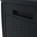 vidaXL Boîte de stockage jardin Anthracite 119x48x60 cm Polypropylène
