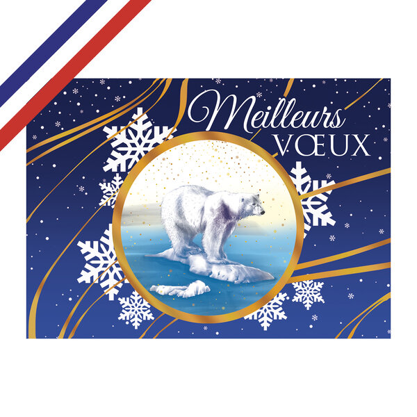 Carte double meilleurs vœux ours polaire