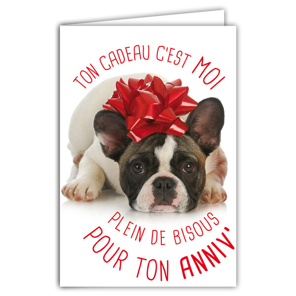 Carte Bon Anniversaire Humoristique avec Enveloppe Illustrée format 17 5x12cm Chien Drôle Amusant Rigolo Déguisé en cadeau avec un nœud en ruban sur la tête - Création Fabrication française 69-6204