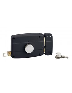 THIRARD - Serrure en applique à bouton pour porte de garage à battant  droite  140x90mm  axe 70mm  noir  3 clés