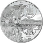 Lions growing up 5 once silver monnaie 3000 shillings tanzania 2022