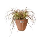 Vibia Campana Bac à fleurs Rond 55 - Marron Ø 55 x 47 cm