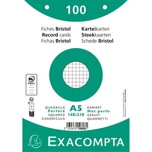 Paquet 100 Fiches Sous Film - Bristol Quadrillé 5x5 Perforé 148x210mm - Blanc - X 10 - Exacompta