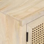 vidaXL Meuble TV 120x30x40 cm Bois de manguier et canne naturelle