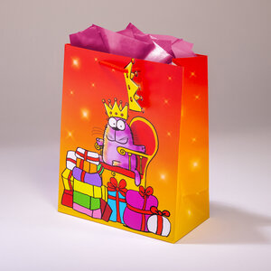 Sac cadeau star of the day mml 20 x h 25 chat