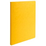 Paquet De 25 Chemises Lustro-carte 225gm2 - 24x32cm - Couleurs Assorties - X 4 - Exacompta