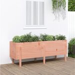 vidaXL Lit surélevé de jardin 160x50x57 cm bois Douglas massif