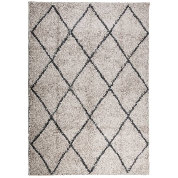 vidaXL Tapis shaggy à poils longs moderne beige anthracite 140x200 cm