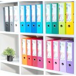 Classeur À Levier Prem'touch Intérieur Et Extérieur En Polypropylène - Dos 80mm - A4 Maxi - Vert Foncé - X 10 - Exacompta
