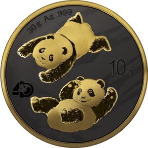 Pièce de monnaie 10 Yuan Chine 2022 30 grammes argent BU – Panda (édition nuit dorée)