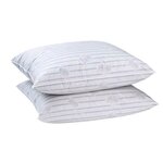 2 oreillers plumes 60 x 60 cm