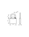 THIRARD - Cadenas à clé Mach 3  laiton nickelé  extérieur  anse inox  30mm  2 clés