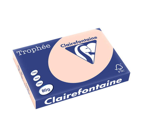 Ramette 500 Feuilles Papier 80g A3 420x297 mm Certifié FSC SAUMON TROPHÉE