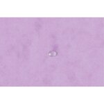 Chemise À Élastiques Carte Lustrée 400g/m2 Aquarel - A4 - Mauve - X 25 - Exacompta