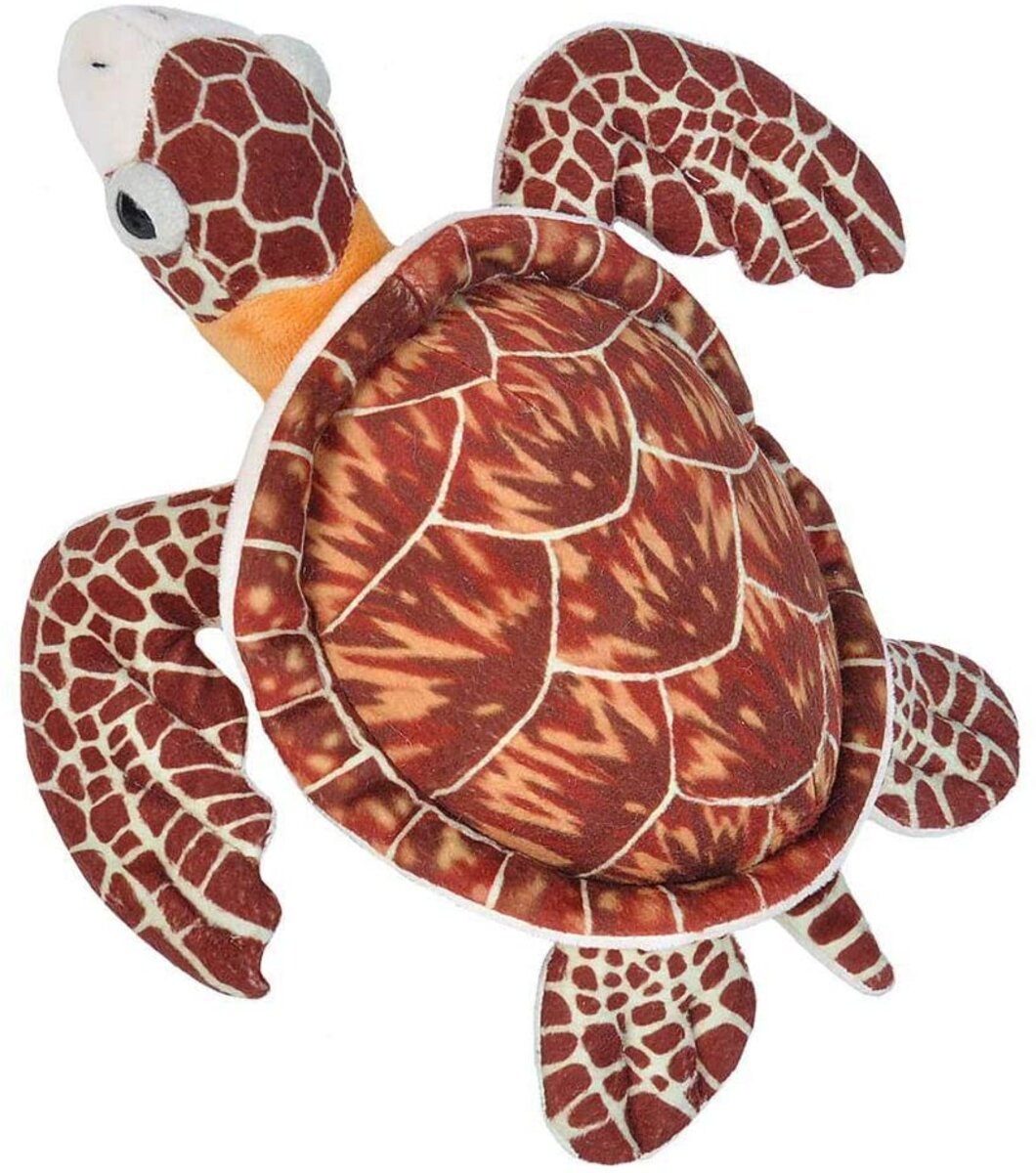 Peluche Tortue de terre 20 cm