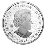 Pièce de monnaie 30 Dollars Canada Grizzlis 2023 – Argent BE