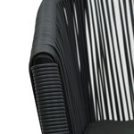 vidaXL Chaises de jardin lot de 2 Noir Rotin PE