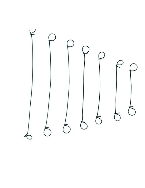 (couronne de 5000) lien bouclé plastifié longueur 20mm