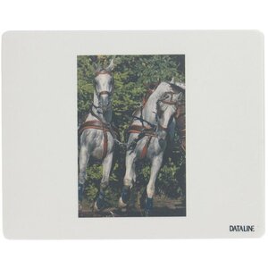 Tapis de souris personnalisable