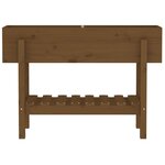 vidaXL Lit surélevé de jardin marron miel 101x30x69 cm bois pin massif