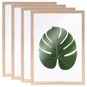 4 cadres en bois pour Herbier A4