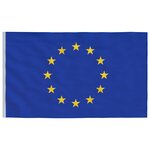 vidaXL Drapeau de l'Europe et mât 5 55 m Aluminium