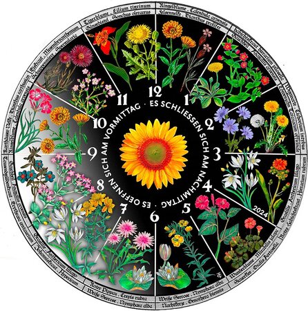 Pièce de monnaie en Argent 25 Dollars g 62.2 (2 oz) Millésime 2024 Floral Clock HOROLOGIUM FLORAE