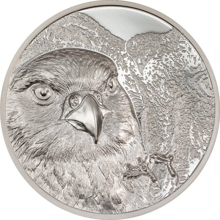 Falcon wild mongolia 1 oz silver monnaie 500 togrog mongolia 2023